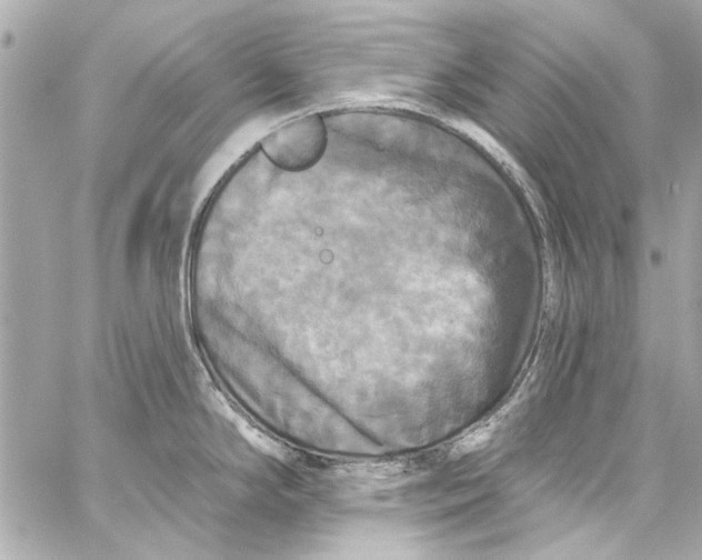 X0000057071294200510071423