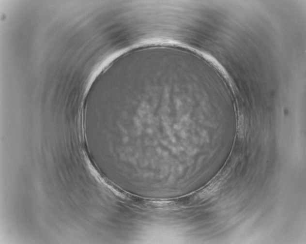 X0000057071295200510071423