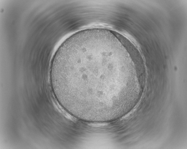 X0000057071296200510071423