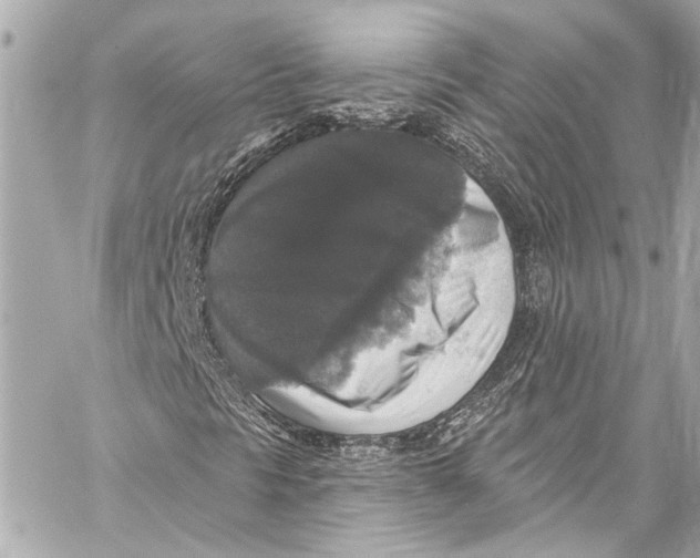 X0000057071297200510071422