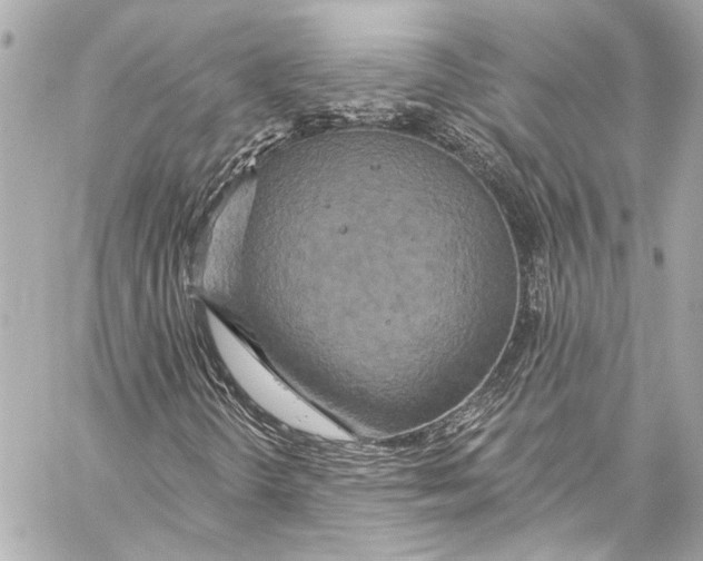 X0000057071298200510071422