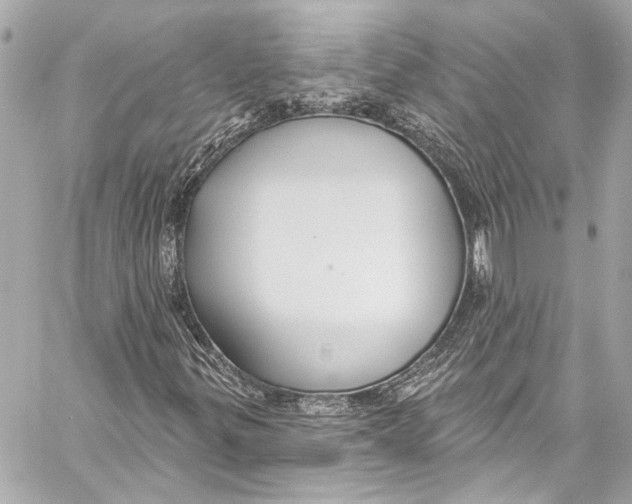 X0000057071299200510071422