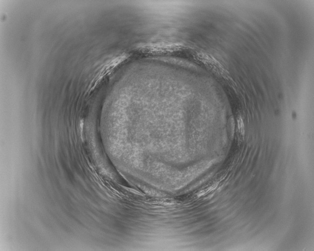 X0000057071300200510071422