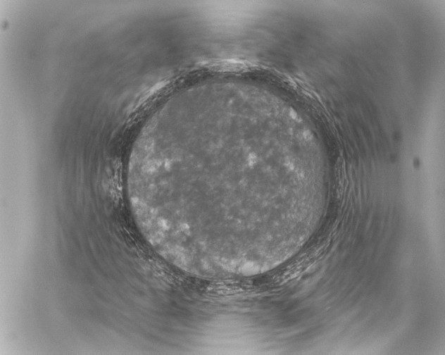 X0000057071301200510071422