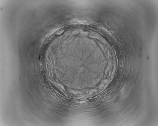 X0000057071303200510071422