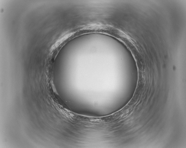 X0000057071304200510071422