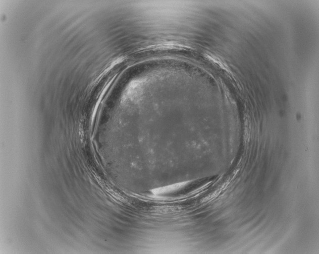 X0000057071305200510071422