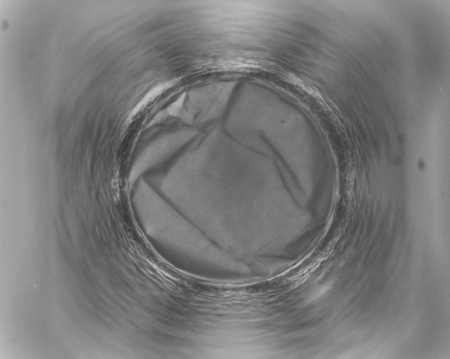 X0000057071306200510071422