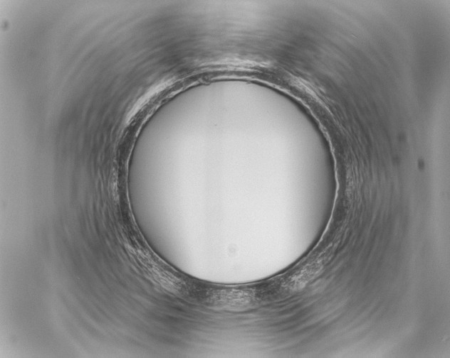 X0000057071307200510071422