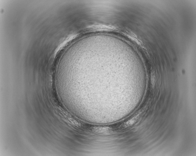 X0000057071309200510071422