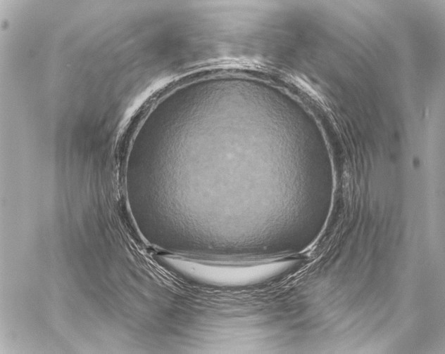 X0000057071310200510071422