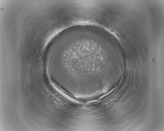 X0000057071311200510071422