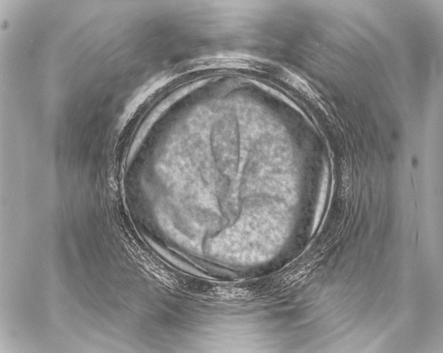 X0000057071312200510071422