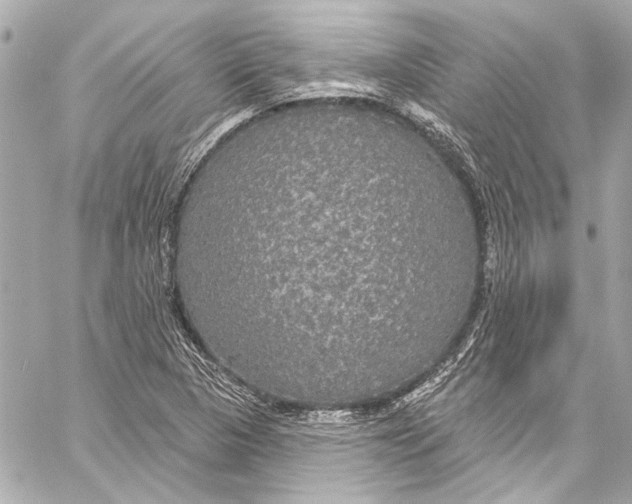 X0000057071313200510071422