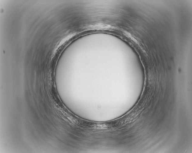 X0000057071315200510071422