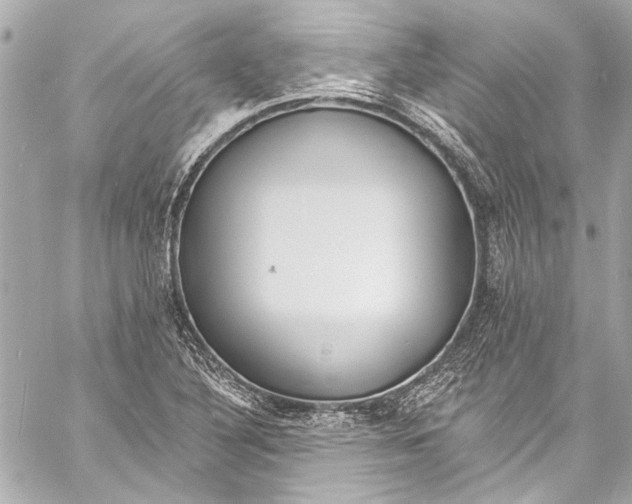 X0000057071316200510071422