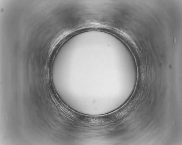 X0000057071318200510071422