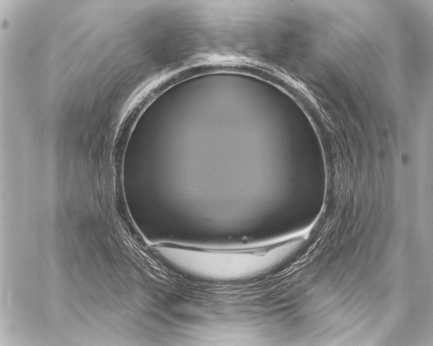 X0000057071319200510071422