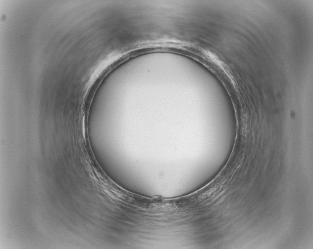 X0000057071320200510071422