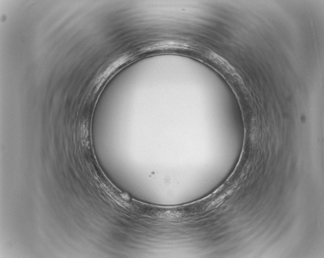 X0000057071321200510071422