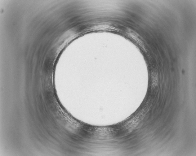 X0000057071322200510071422