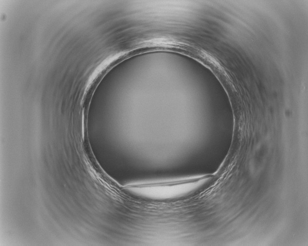 X0000057071323200510071422