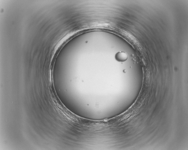 X0000057071324200510071422