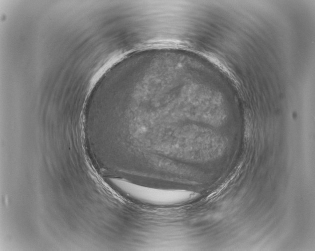 X0000057071325200510071422