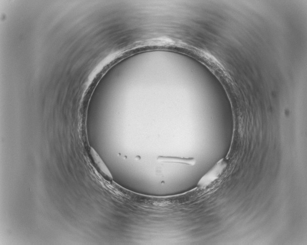 X0000057071326200510071422