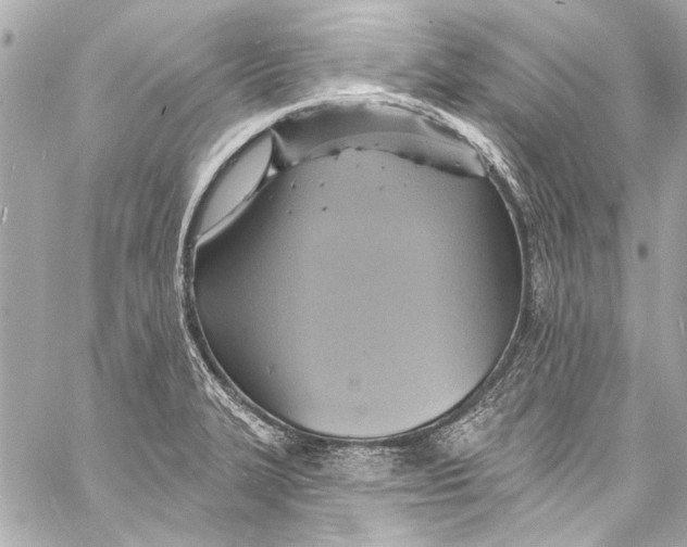 X0000057071327200510071422