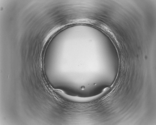 X0000057071328200510071422