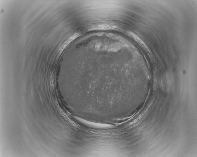 X0000057071329200510071422