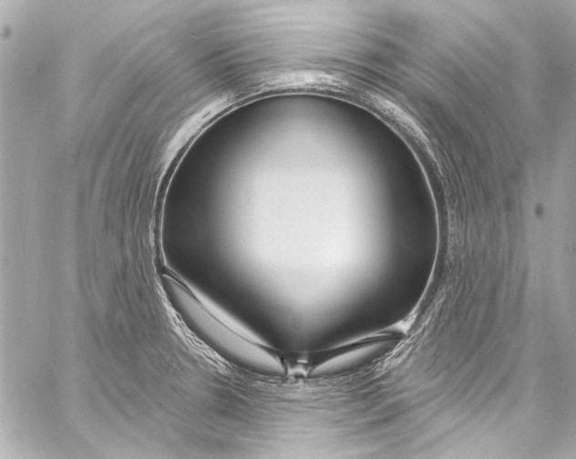 X0000057071330200510071422