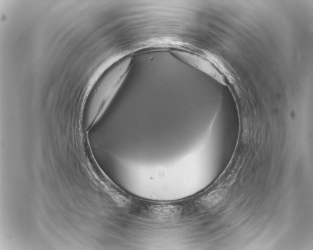 X0000057071331200510071422