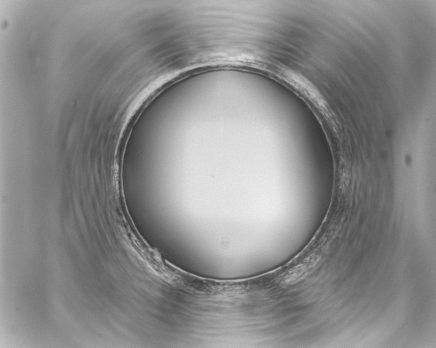 X0000057071332200510071422