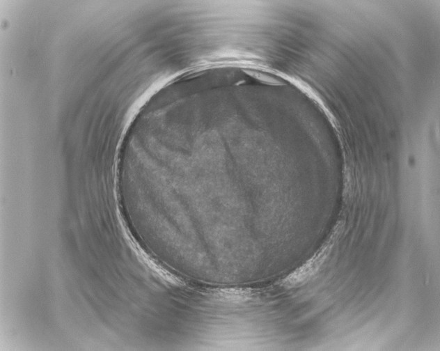 X0000057071333200510071422