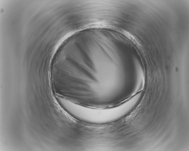 X0000057071334200510071422