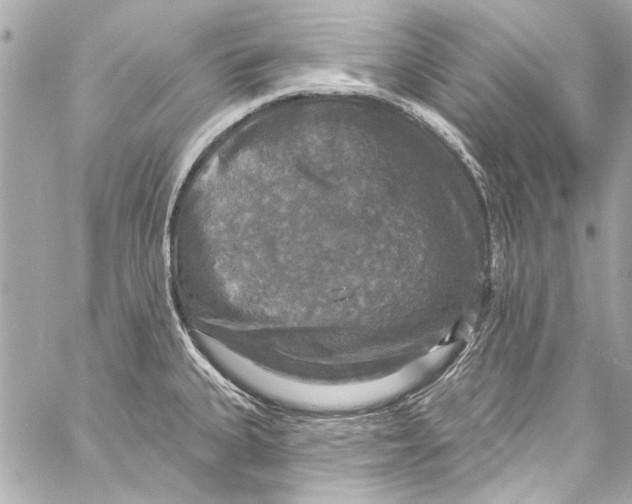 X0000057071335200510071422