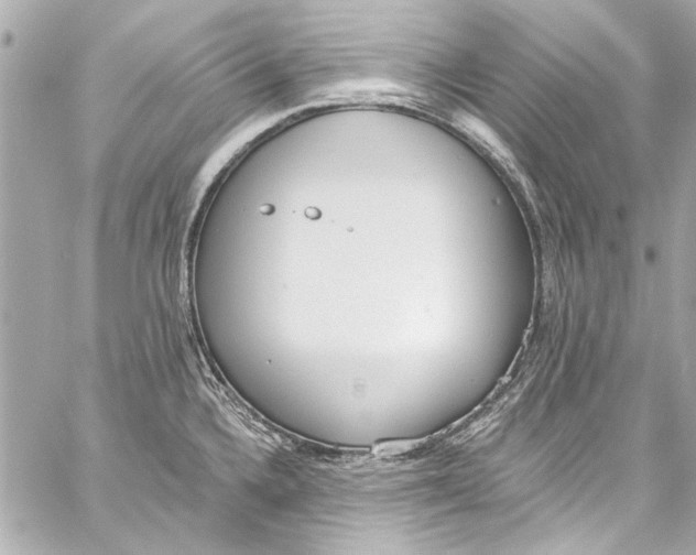 X0000057071336200510071422