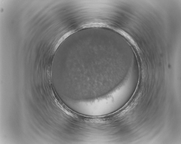 X0000057071337200510071422