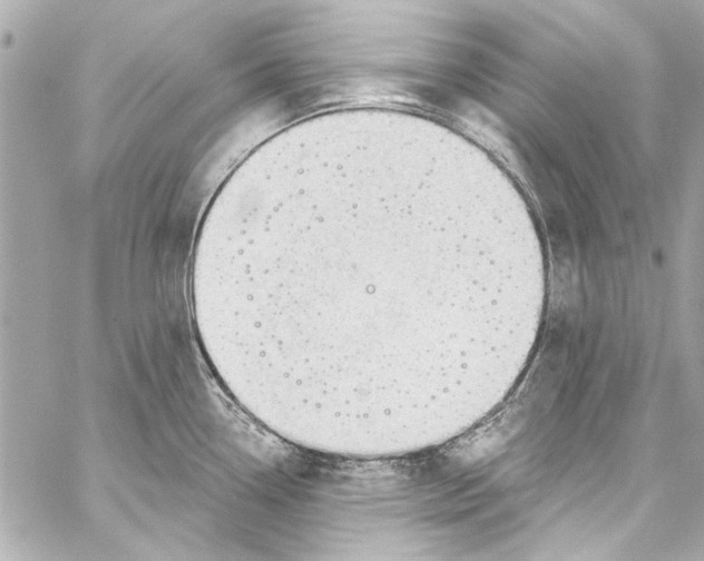 X0000057071338200510071423