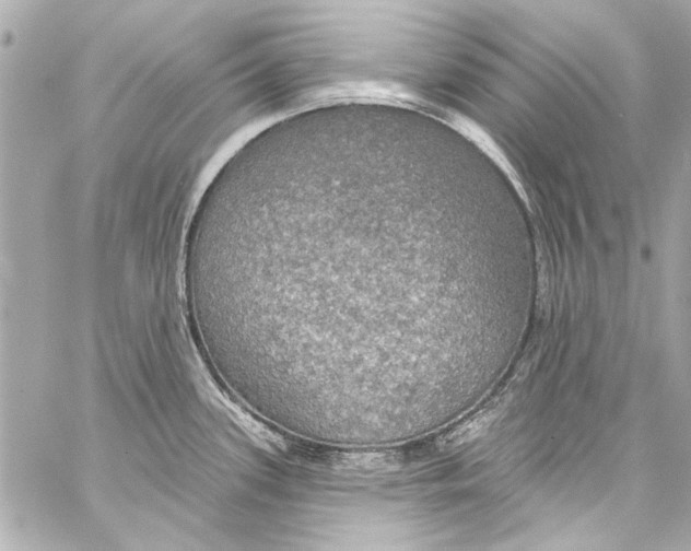 X0000057071339200510071423