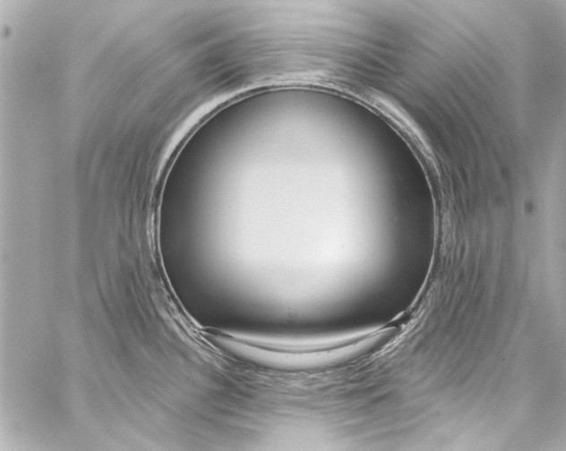 X0000057071340200510071423