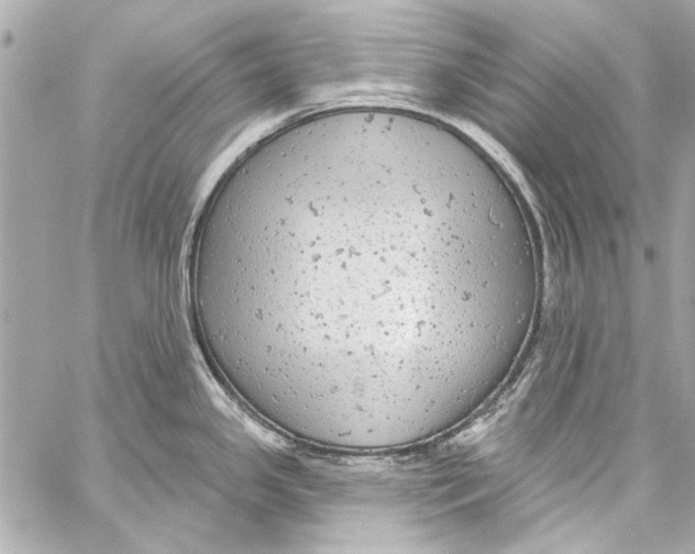 X0000057071341200510071423