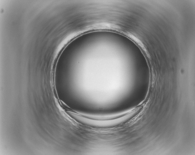 X0000057071342200510071423