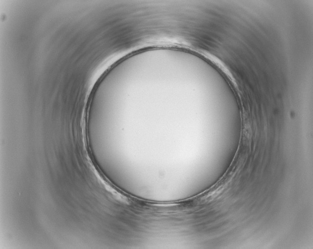 X0000057071343200510071423