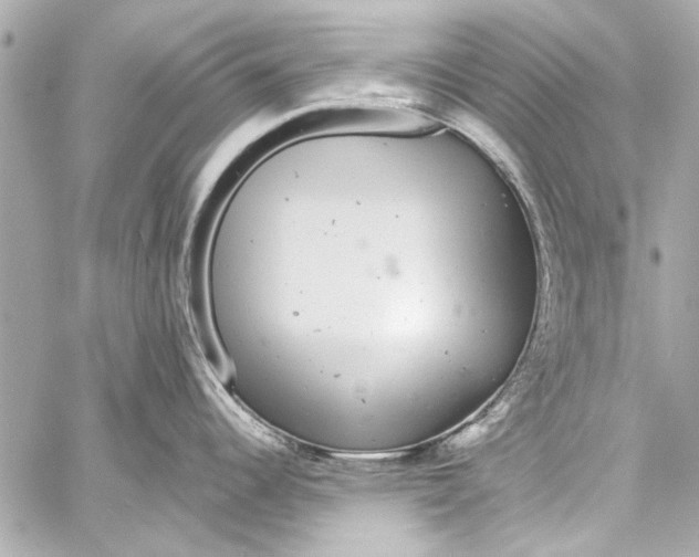 X0000057071344200510071423