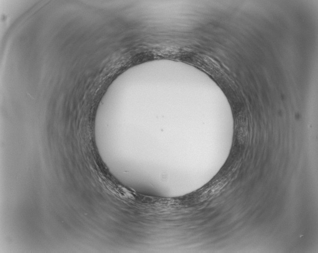 X0000057071345200510071422