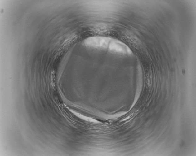 X0000057071346200510071422