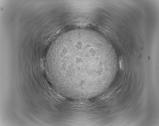 X0000057071347200510071422